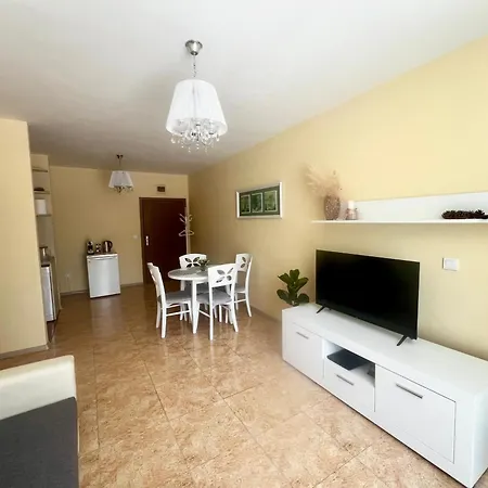 Elit 4 ساني بيتش